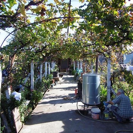 Shkodër弗洛里安宾馆住宿加早餐旅馆 外观 照片