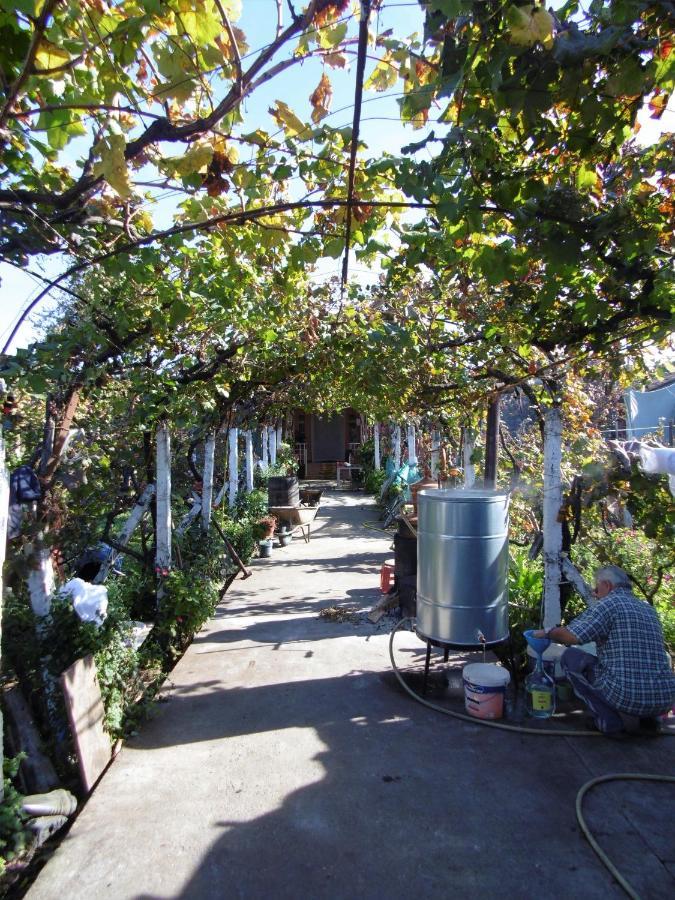 Shkodër弗洛里安宾馆住宿加早餐旅馆 外观 照片